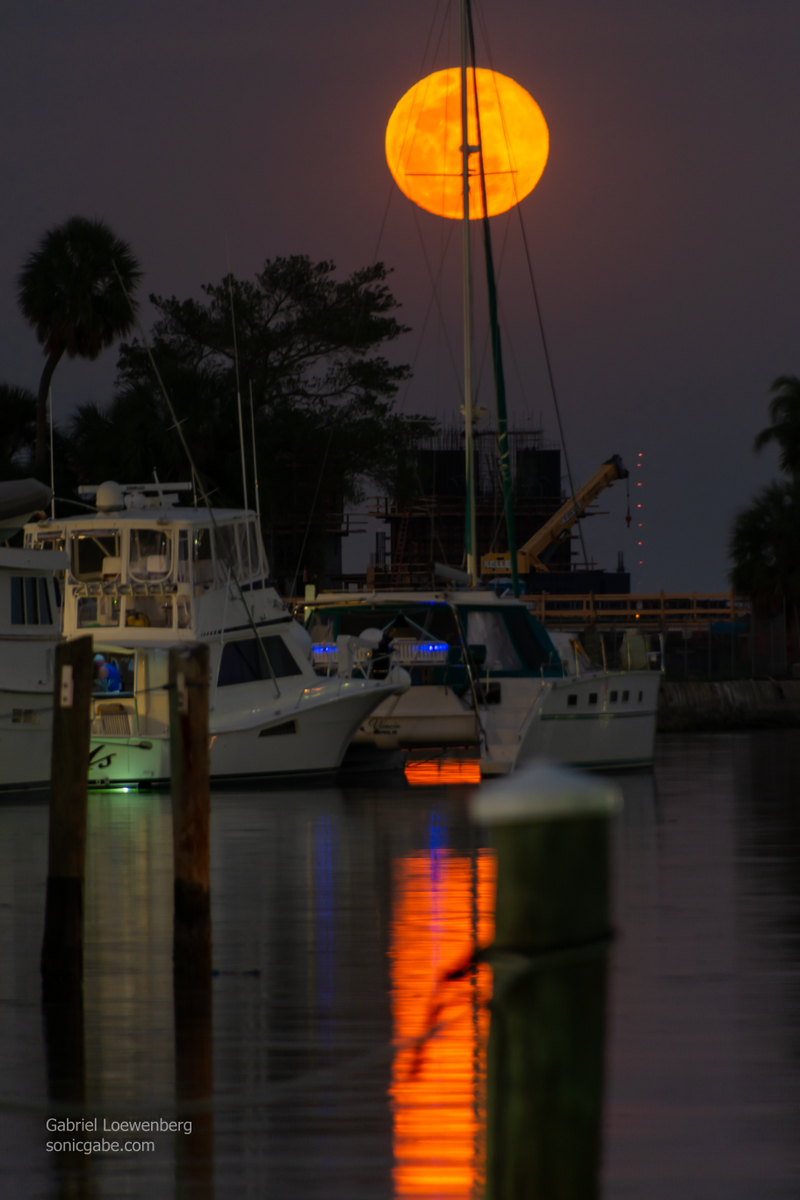 Illustration for article titled Film From The Minolta XG-M Is Back, Plus A Super Moon